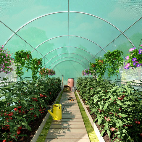 Amerlife High Tunnel Greenhouse