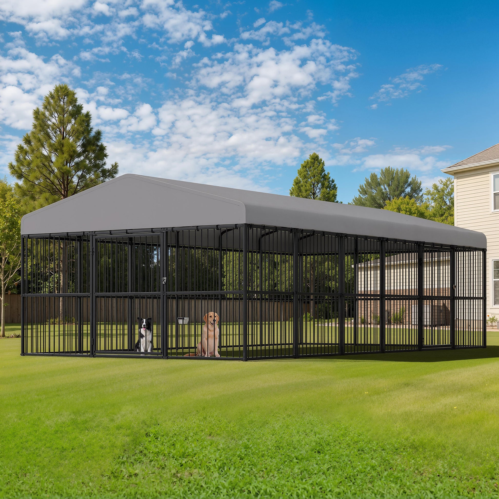 Heavy-Duty Outdoor Dog Kennel with Roof