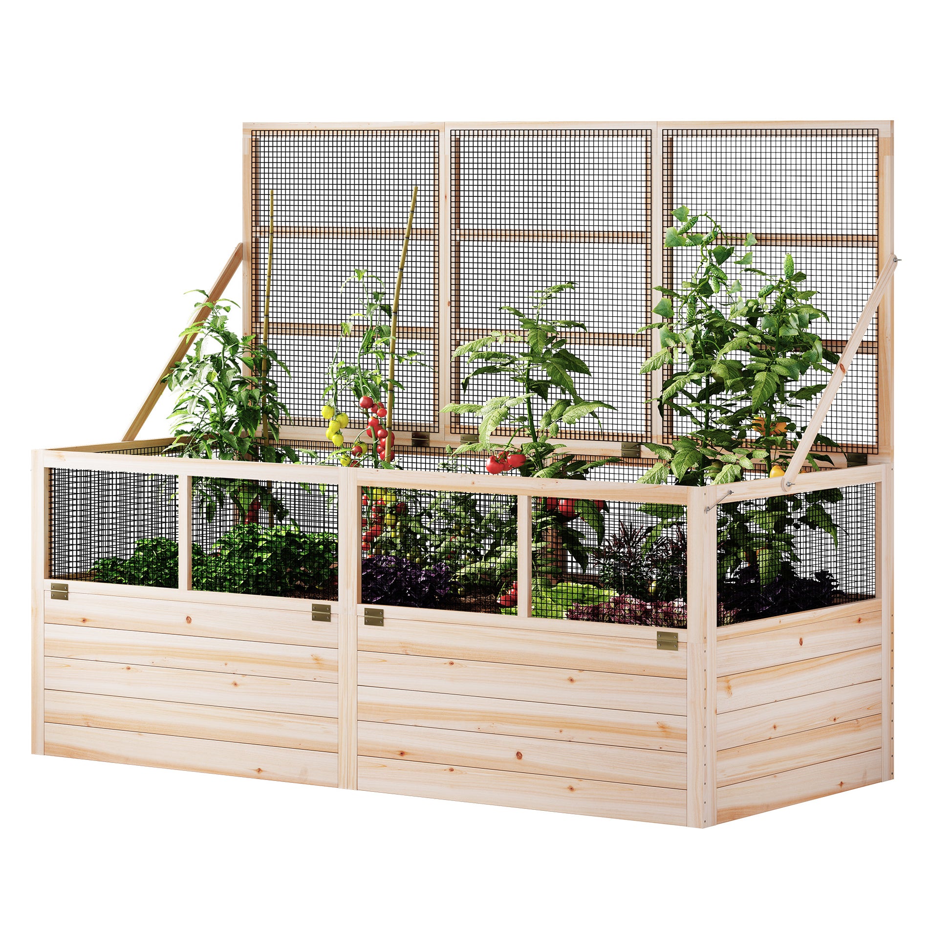 Lid Wood Raised Garden Bed 