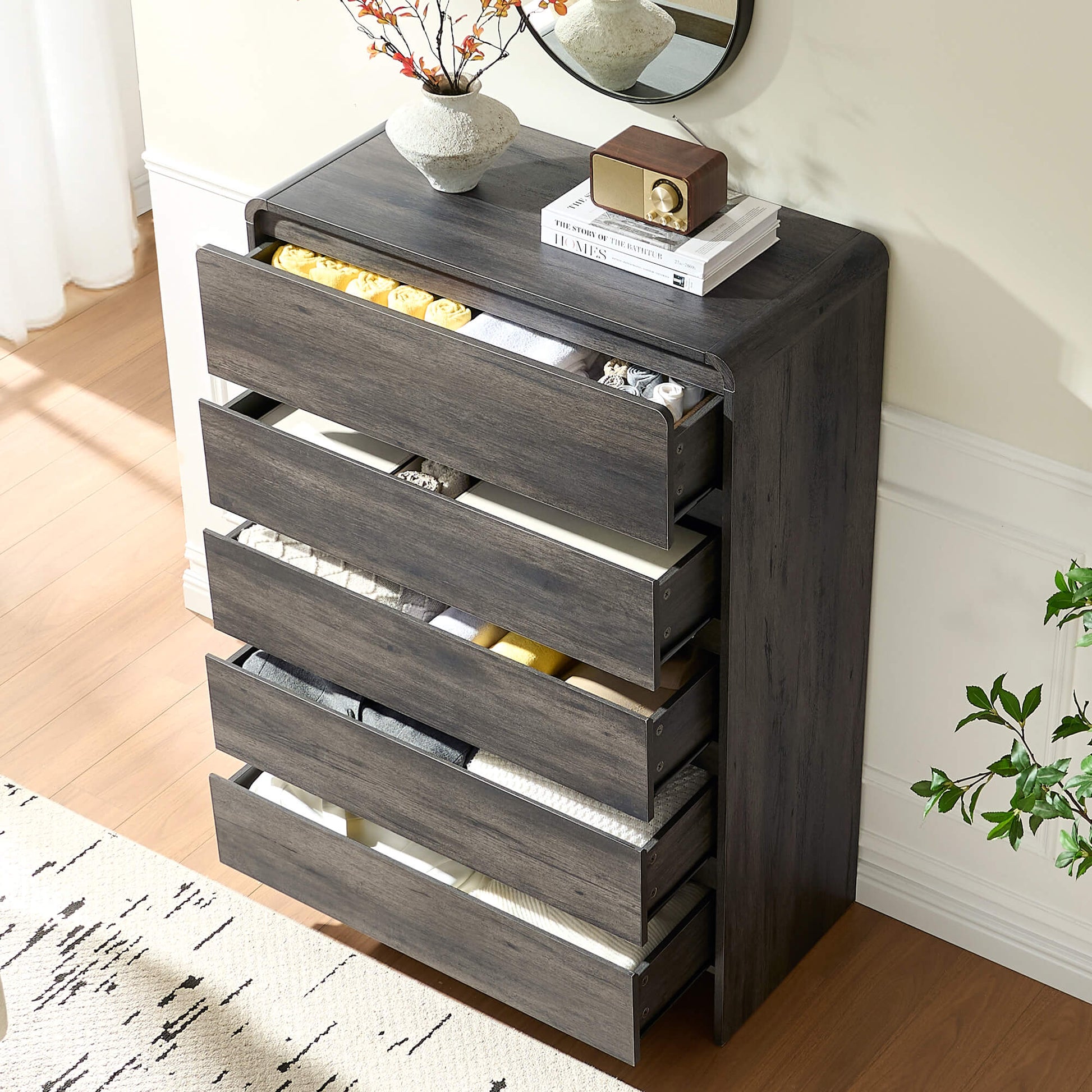 Garyon Modern 5-Drawer Storage Dresser _Black