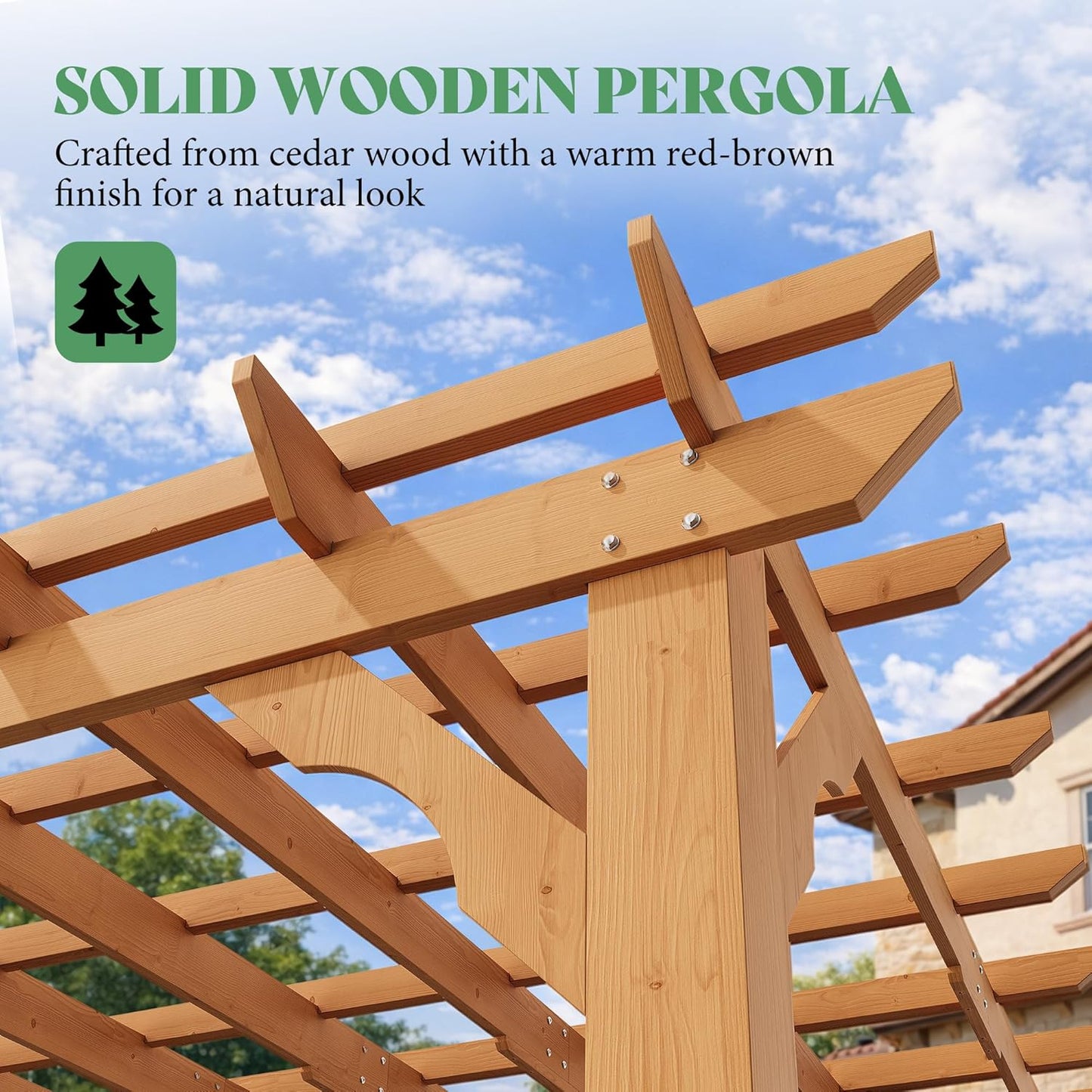 Cedrix Solid Cedar Wood Pergola-12X20