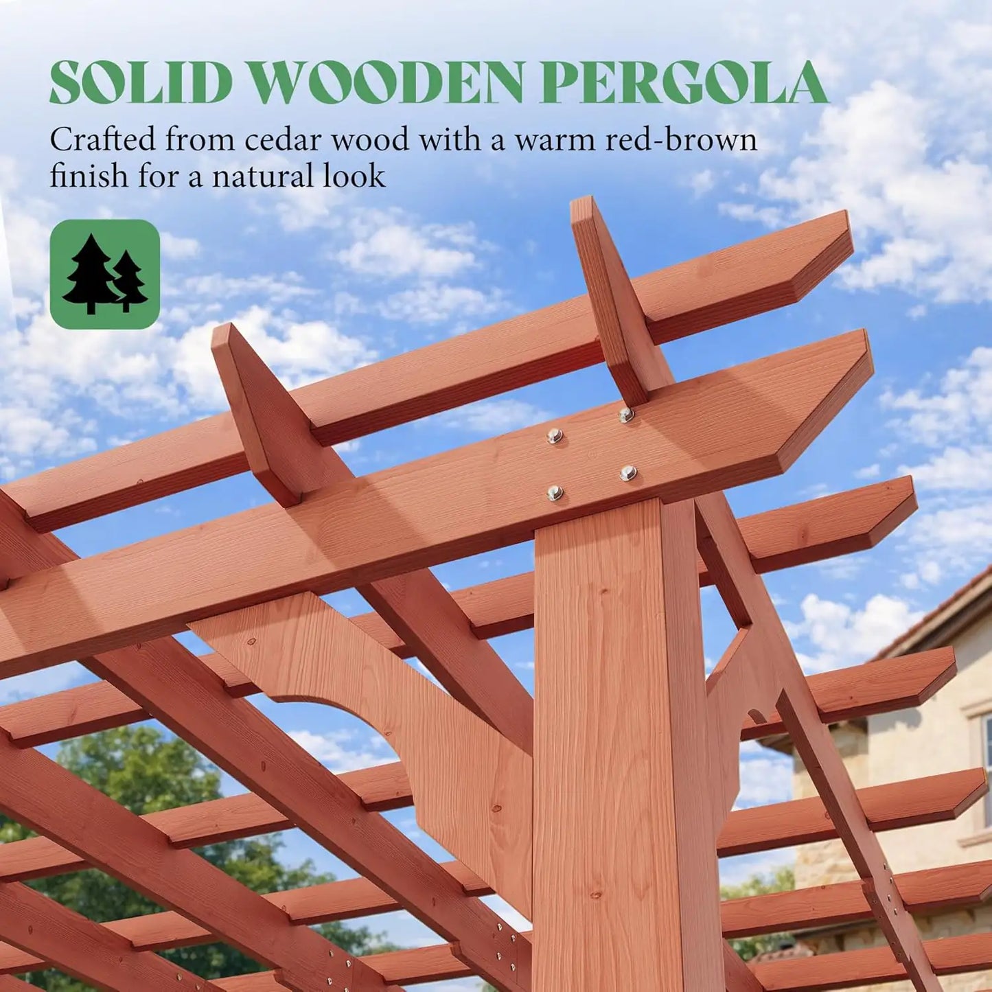 Cedrix Solid Cedar Wood Pergola-12X24