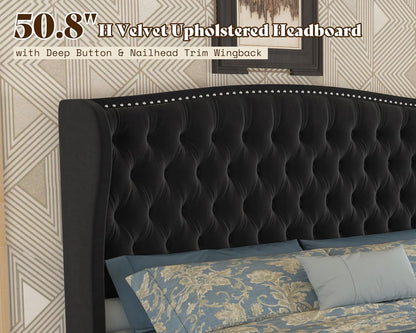 Astoria 51"H Adjustable Bed Frame Amerlife Queen / Black