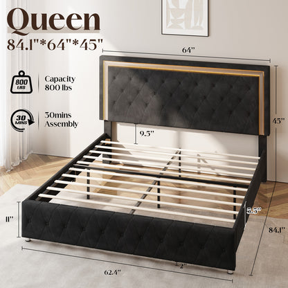 Hues LED Bed Frame-Q-BLACK