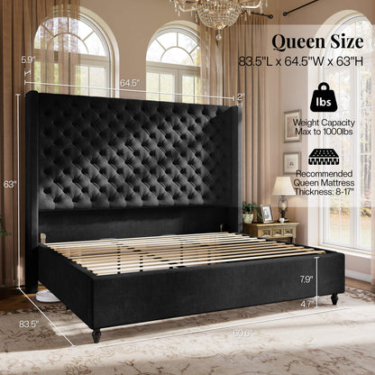Cush Bed Frame - Q-BLACK