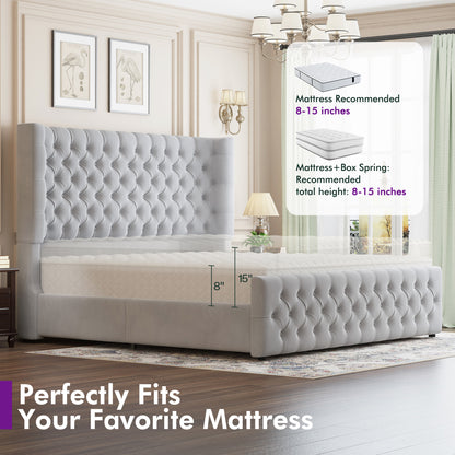 Plush Curved Wingback Bed Frame  - King Bed Light Gray