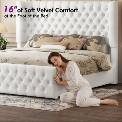 Plush Curved Wingback Bed Frame  - King Bed White