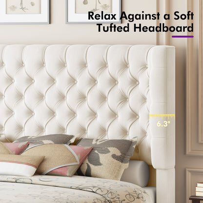 Plush Curved Wingback Bed Frame - Queen Bed Begie