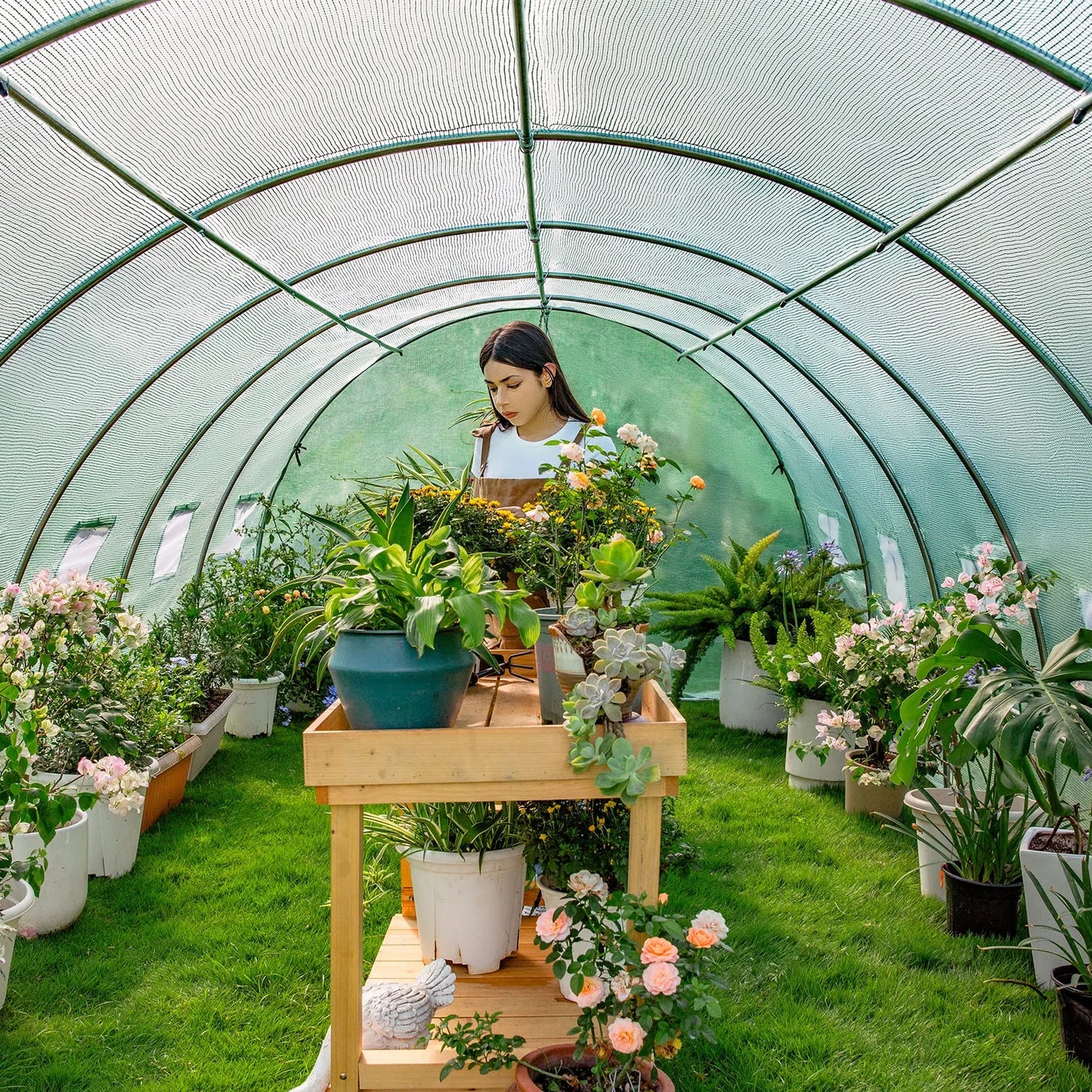 Everglade High Tunnel Greenhouse