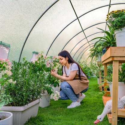 Everglade High Tunnel Greenhouse