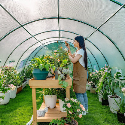 Everglade High Tunnel Greenhouse