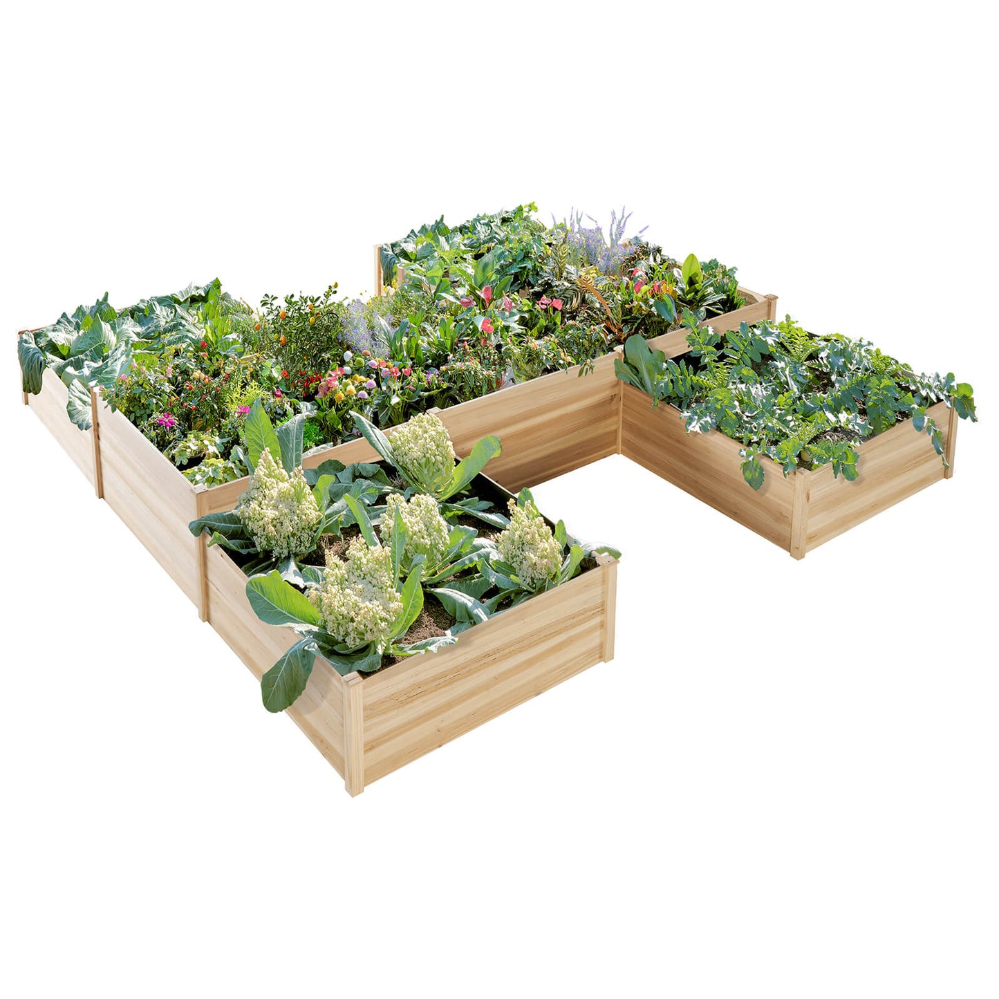 Marigold H-Shaped Raised Bed - Amerlife