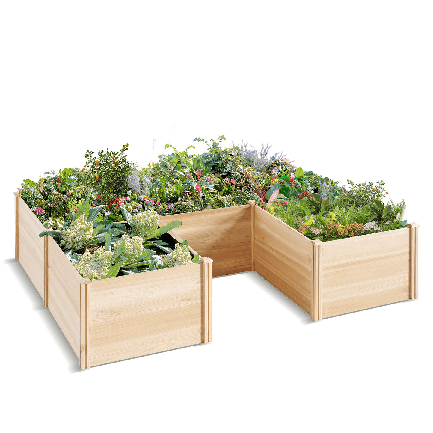 Daisy U-Shaped Raised Bed -7.5x6x1.6FT (5Grids)