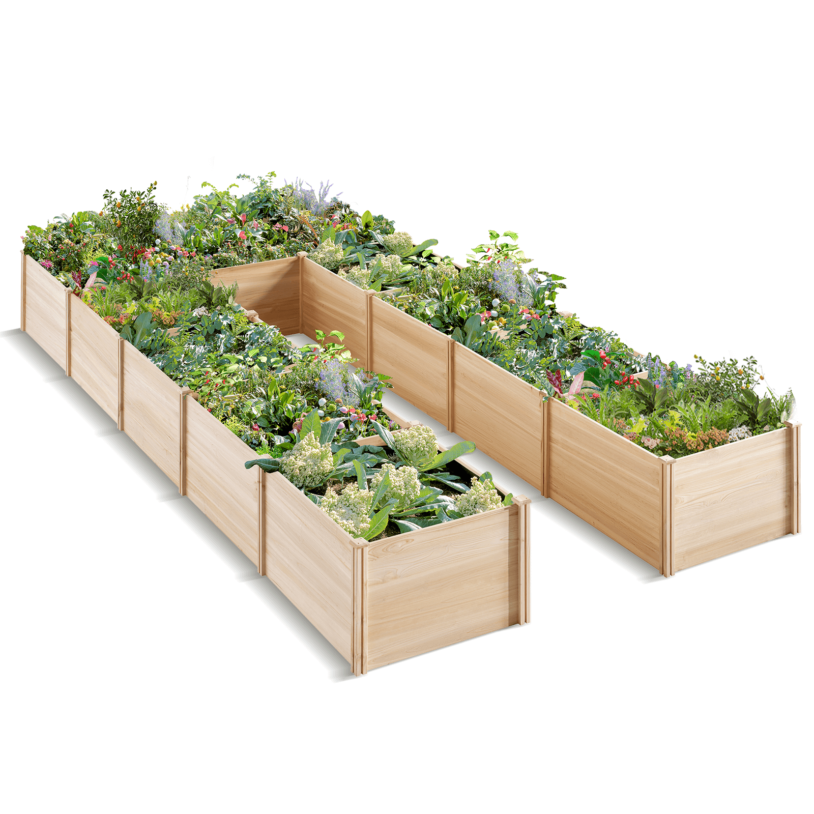 Daisy U-Shaped Raised Bed -7.5x15x1.6FT (11Grids)