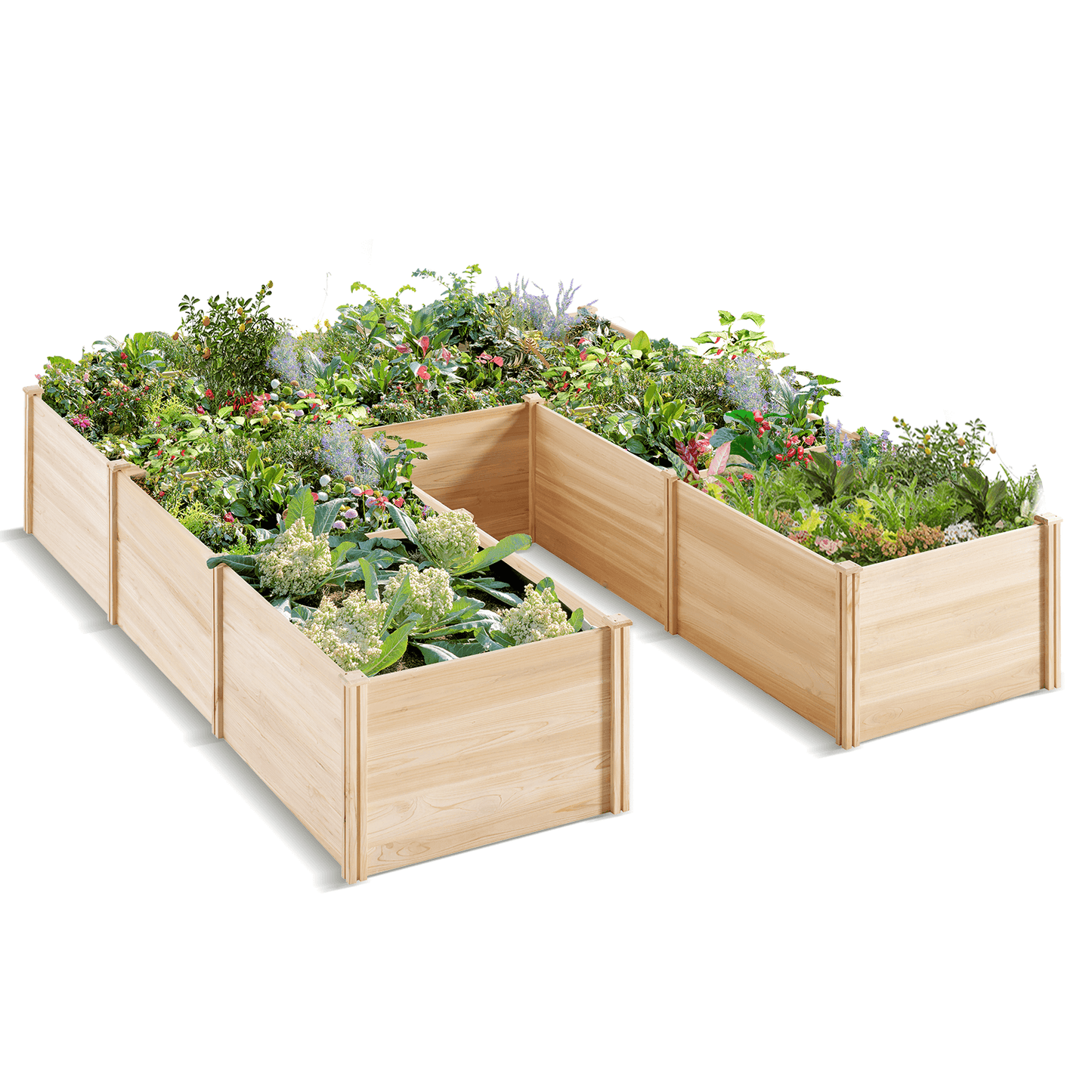 Daisy U-Shaped Raised Bed -7.5x9x1.6FT (7Grids)