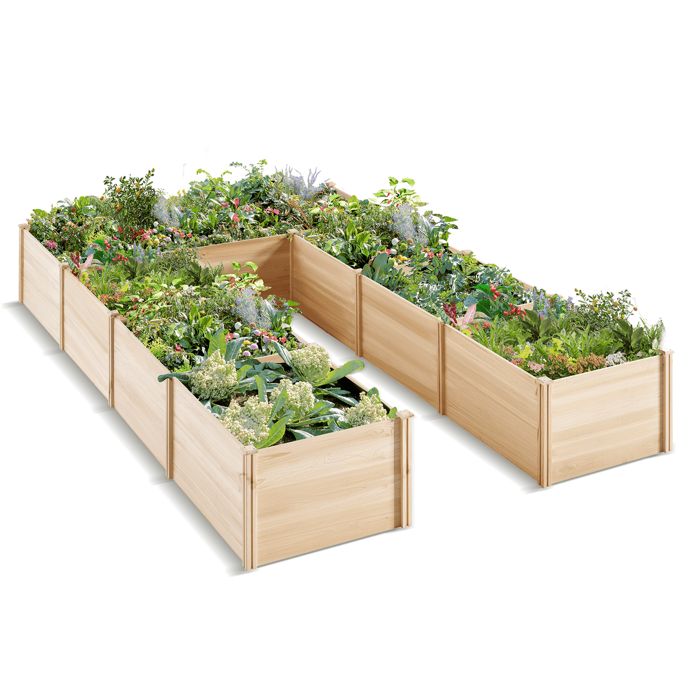 Daisy U-Shaped Raised Bed -7.5x12x1.6FT (9Grids)