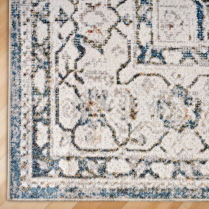 Vintage Distressed Floral Area Rug - LightBlue