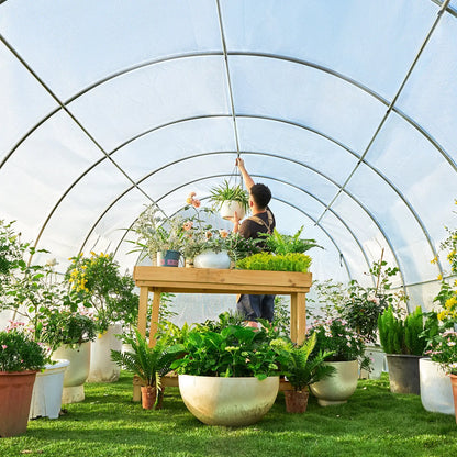 Smials Tunnel Greenhouse