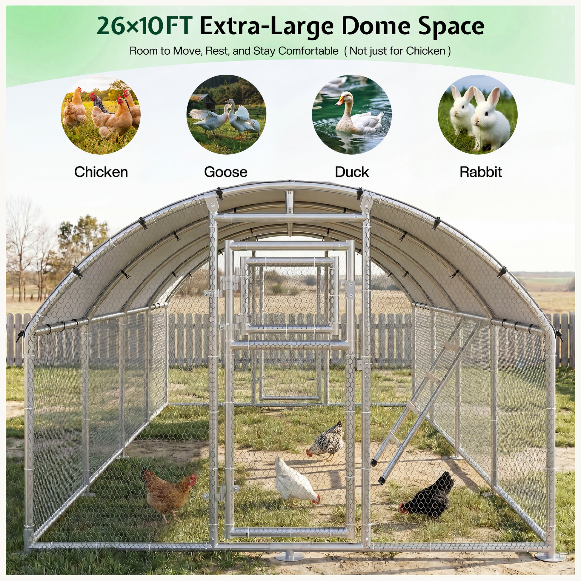 Extra Large Walk-In Chicken Run Amerlife