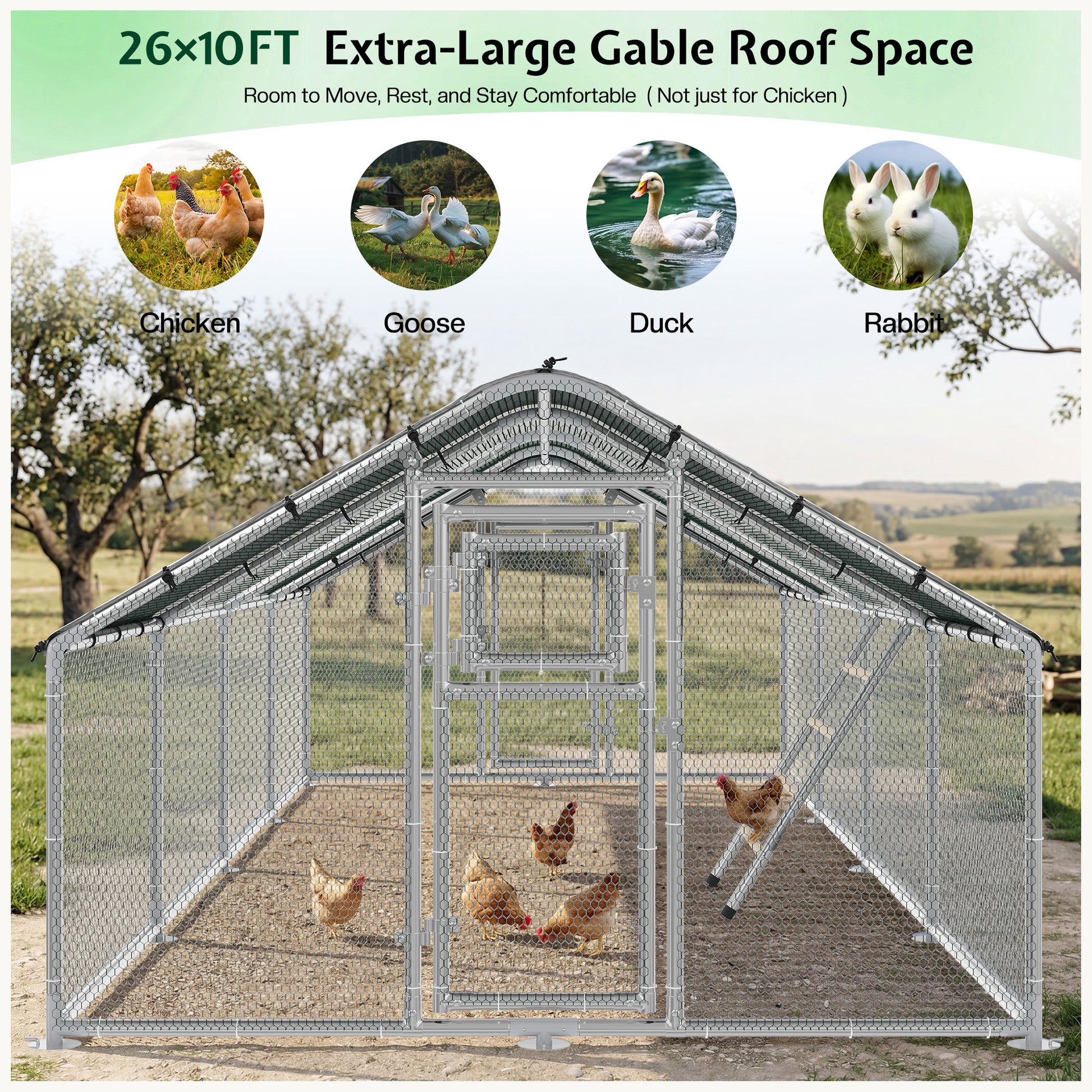 Extra Large Walk-In Chicken Run Amerlife