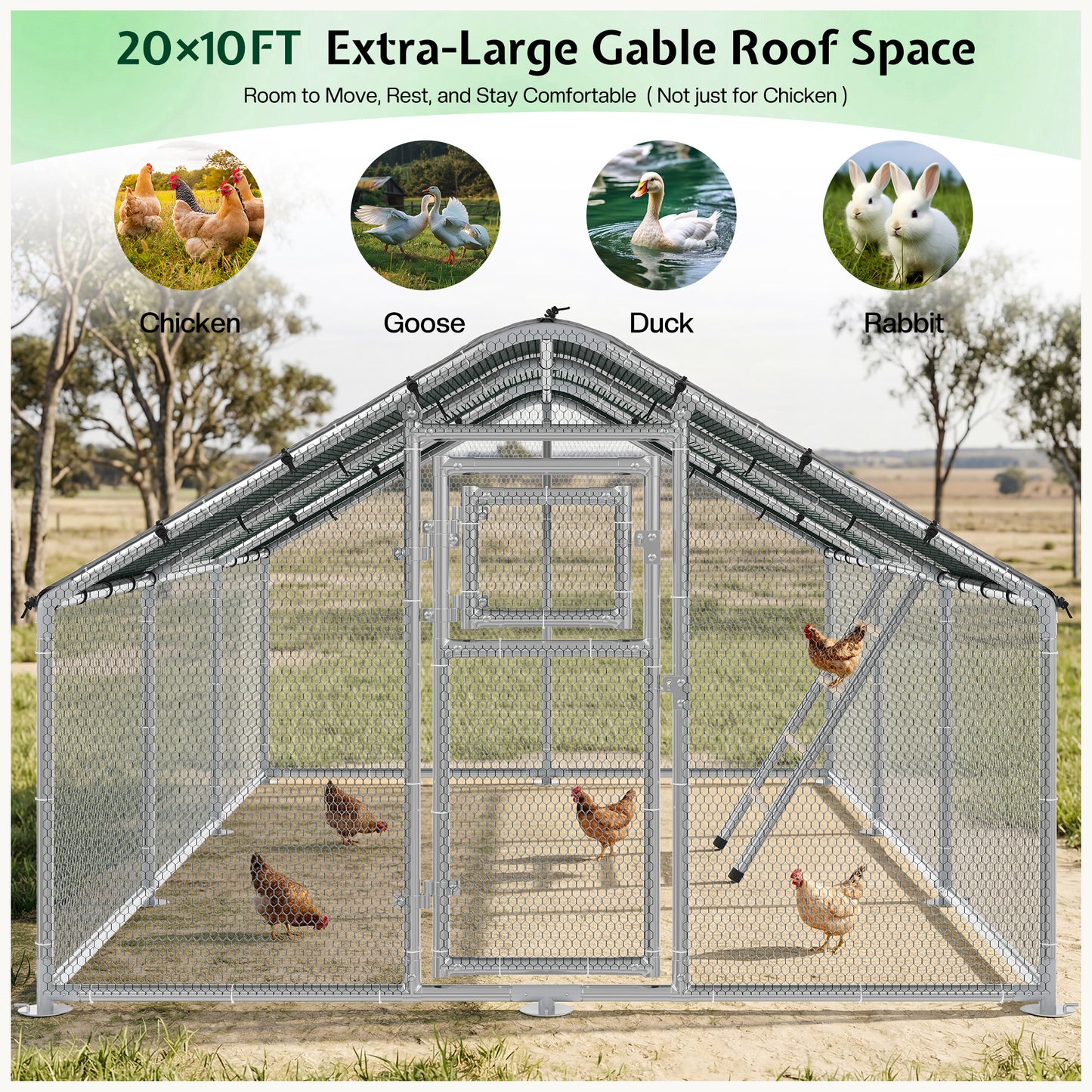 Extra Large Walk-In Chicken Run Amerlife