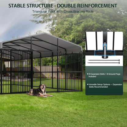 Heavy-Duty Outdoor Dog Kennel with Roof
