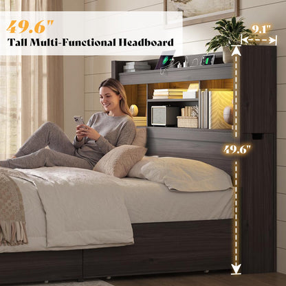 Farmhouse King Headboard with Storage & LED Lighting-Black Oak-Queen