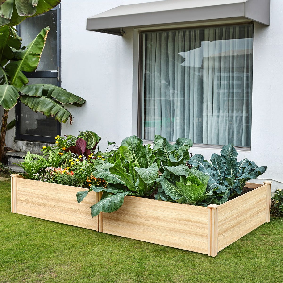 Tenon Fir Wood Raised Garden Bed-8 x 4 x 1.25 FT